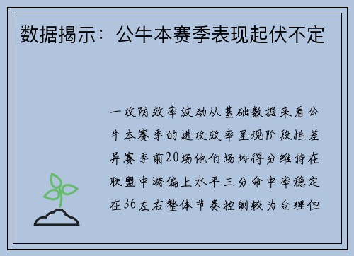 数据揭示：公牛本赛季表现起伏不定